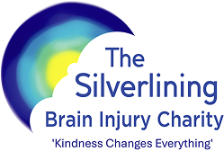 The Silverlining Logo